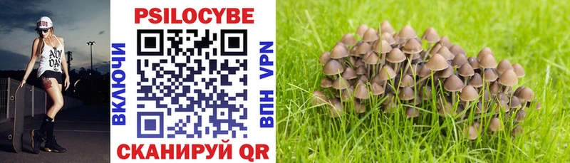 Галлюциногенные грибы Psilocybe Каменск-Уральский